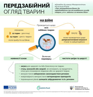 Передзабійний та післязабійний огляд тварин з 1 березня 2027 року: що треба знати операторам боєнь